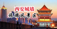 鸡八插骚逼视频免费看中国陕西-西安城墙旅游风景区